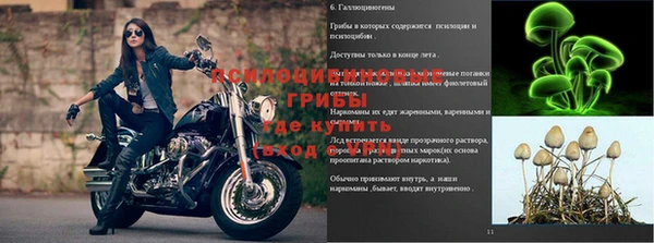 трава Вяземский