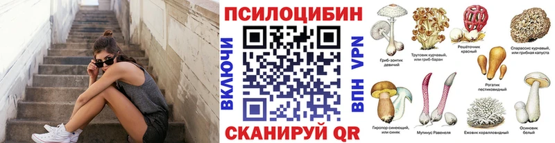 Купить  Ржев  Галлюциногенные грибы MAGIC MUSHROOMS 