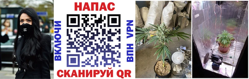 Конопля THC 21%  Купить где  Ржев 
